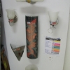 Ginger Designer Wall Light Fixtures +50% OFF