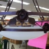 Rosebud Light Fixture- REDUCED!