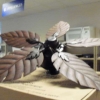 Palm Frond Fan