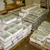 Glass Blocks